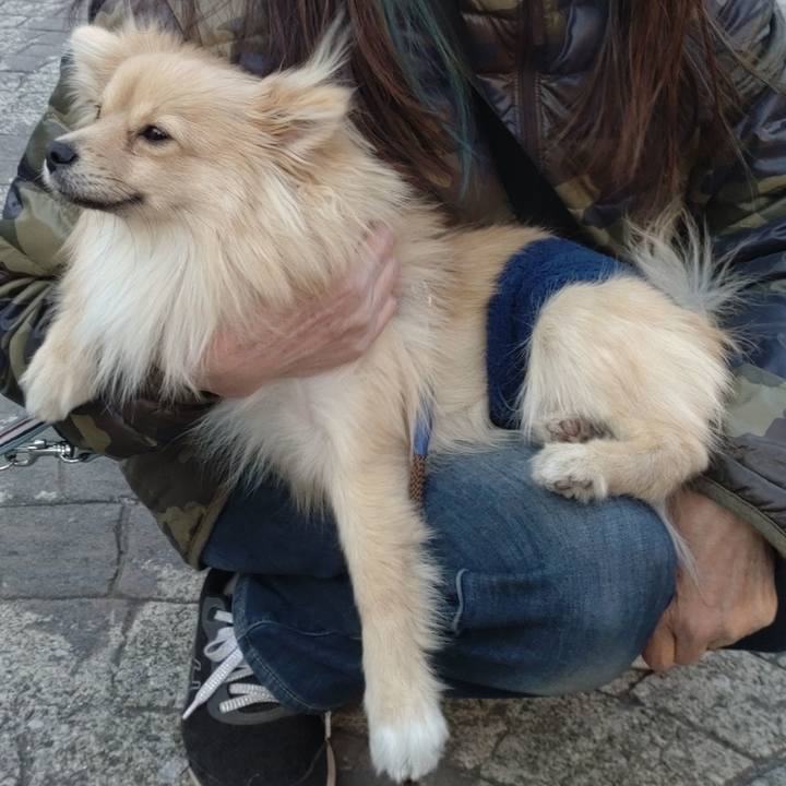 Dca90342 814f 4e5d 8f9e e41f4866b271 1737939946165