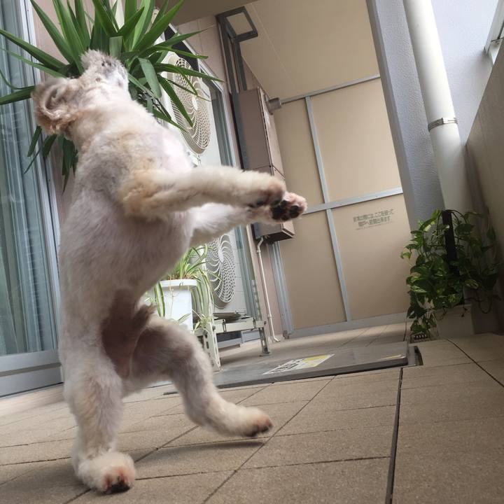 Dca90f1b 31b6 4c18 b0ad a84abc0fb648 1533954222577