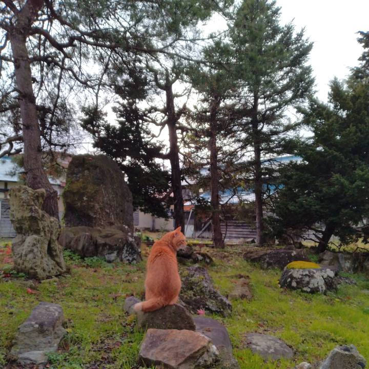 Dcaa0feb 3b63 4f1f 834d f49625b16fa4 1701415663791