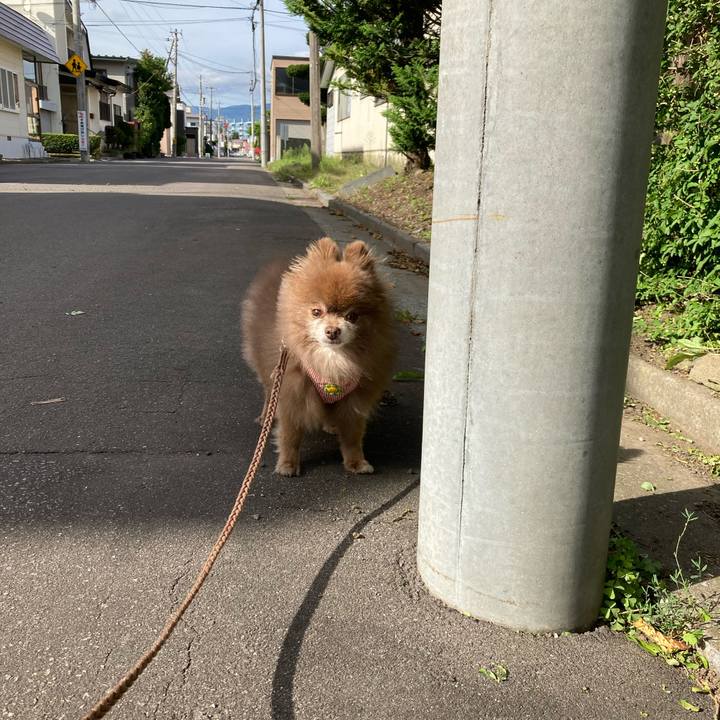 Dcaa175a 35d8 43a5 8f41 8159d7ae02b1 1662237752687