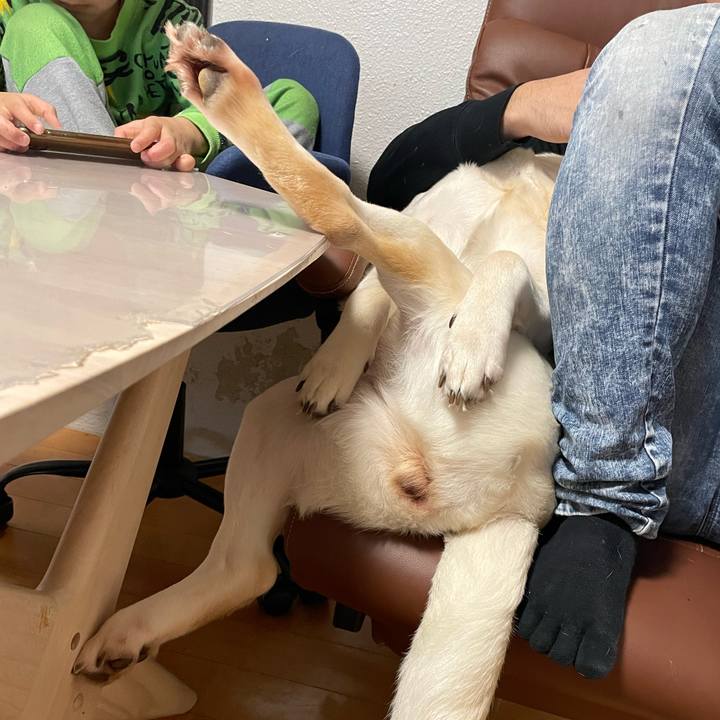 Dcaa5a68 fbb9 4cbc 94f3 1be634b15d02 1682411979688