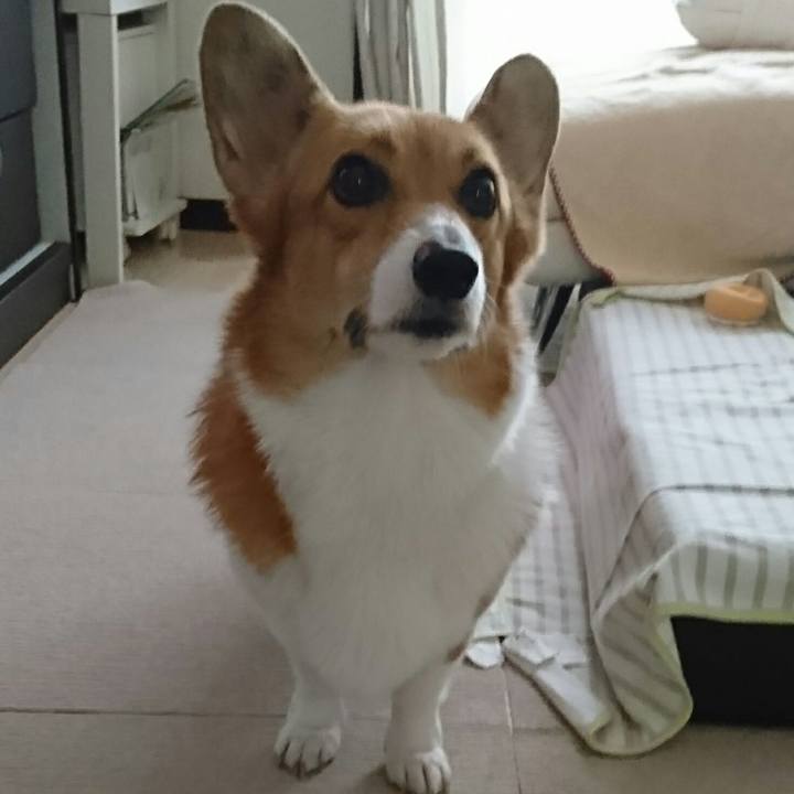 Dcaa6264 9d2c 47fa 83ac 2b59030d7e74 1507788298012