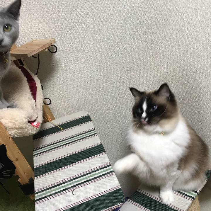 Dcaa7139 dcb3 4d94 b277 76f912040457 1519655847322