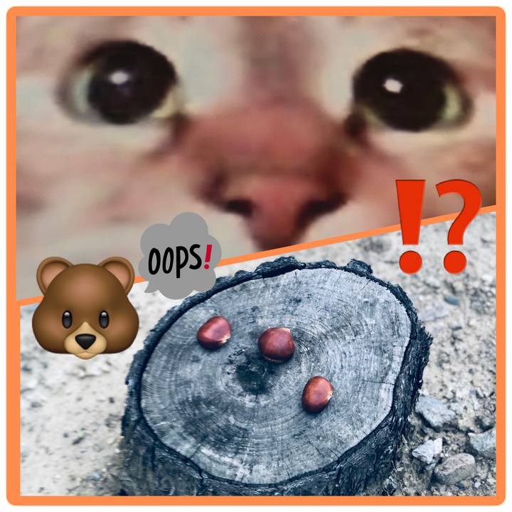 Dcaa86e9 9702 42d0 8a8b e11c36d5ec1f 1632664888794