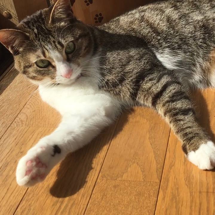 Dcaa93e2 fee4 4602 8d39 b60a98a03f1b 1683069684028