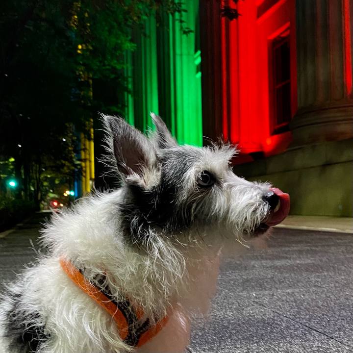 Dcaa9ef3 5359 4551 ba45 9a5923aa7db9 1625496550709