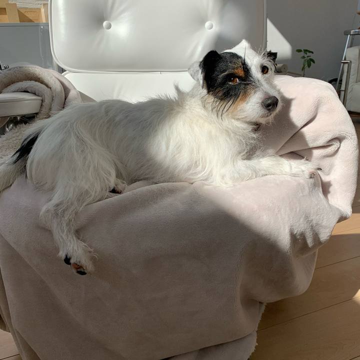 Dcaaa7c2 5b2e 4c2c a391 f4532d393751 1580696952091