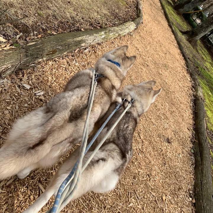 Dcaaa92d 0257 4b93 bccc 7264140fa5dc 1586584498028