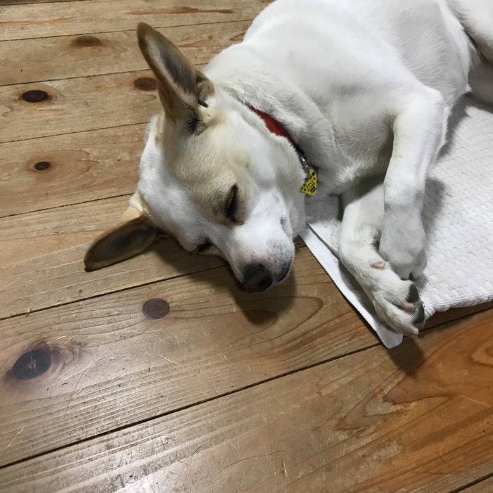 Dcaabce1 7f27 4654 a3cf 51f08d0ac81a 1573296296449