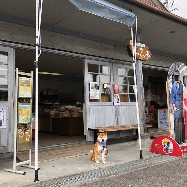 Dcaaecdc bf2b 4e6b bd5d 1600cbf87ebe 1528015935359