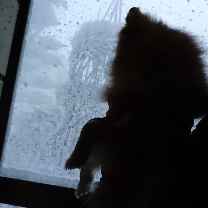 Dcab0fd0 3698 4d50 90d5 745b8710205c 1580165253774