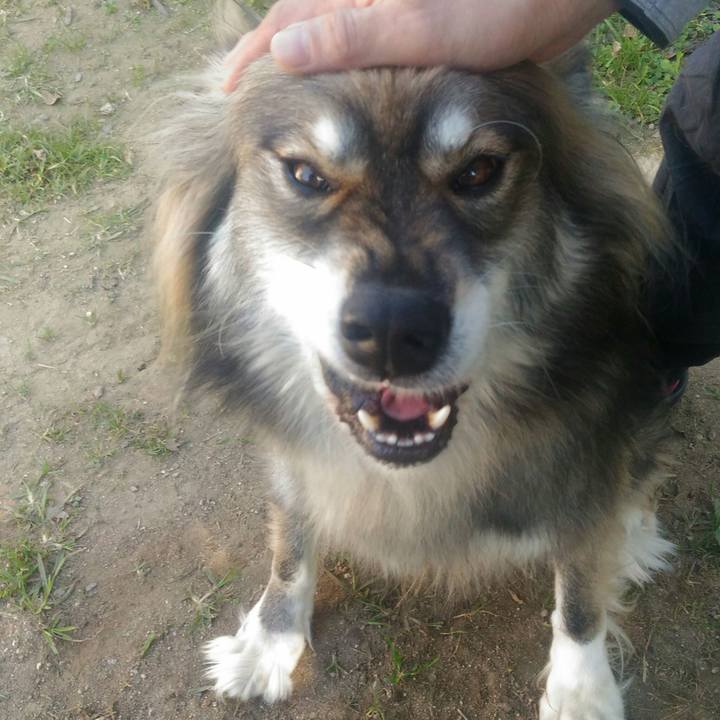 Dcab2bc2 7d7c 4456 ac80 9e2d15f144f8 1541497955131