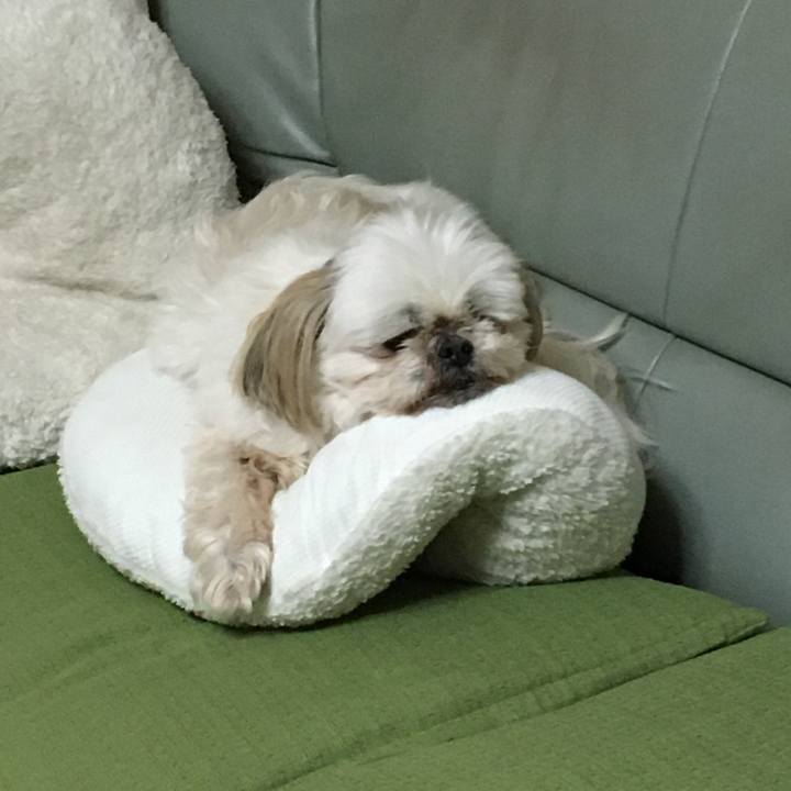 Dcab4613 0227 47c7 a1df b062ed9089b2 1648380525554