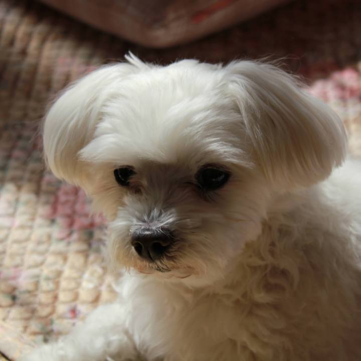 Dcab4749 3253 4d28 8315 0ab2d427236c 1634657866589