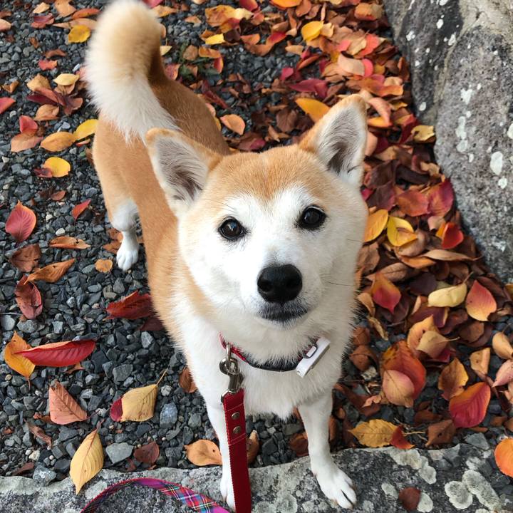 Dcab617a caa7 4f01 a71c 8fca9d69f46f 1700353418372