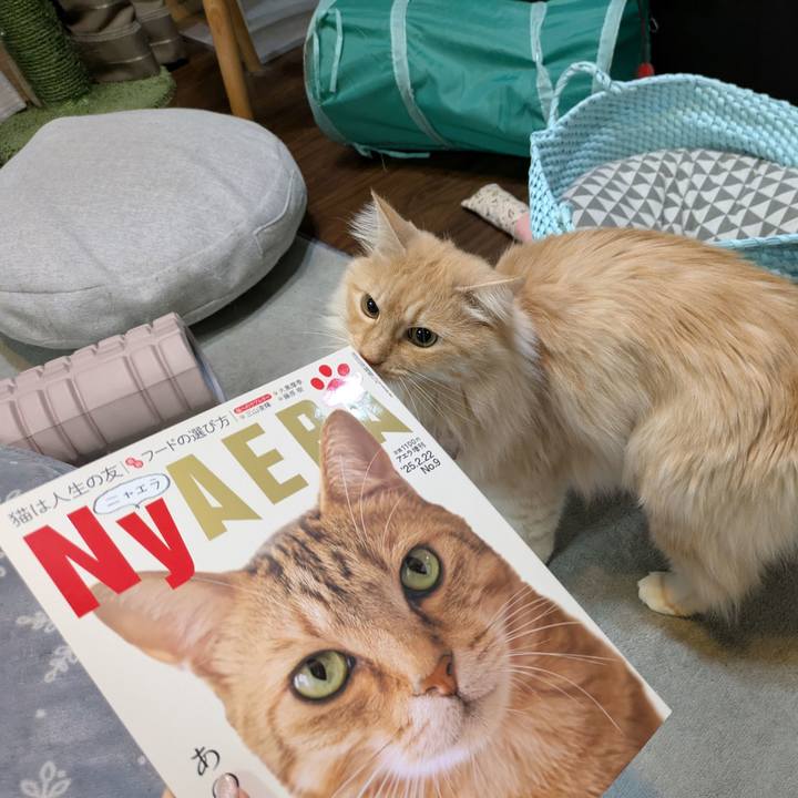 Dcab7d37 616d 472b 94de 25ccfb62a5f8 1741175930321