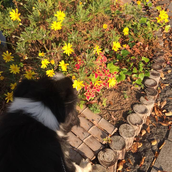 Dcab814f 74a6 4312 ba2e 620e722ff560 1541461042275