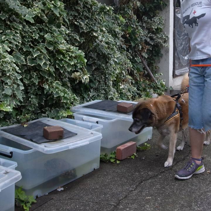 Dcab8ecf 4388 476b 81da bda6fa2180e7 1587432263173