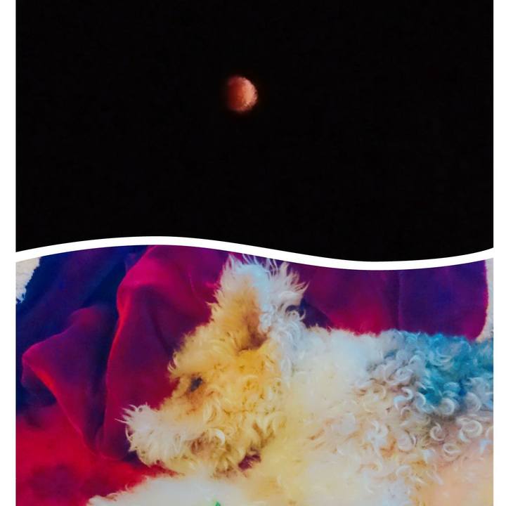 Dcabab33 6b5b 4bc1 abe4 2337fd420ccb 1517405092249