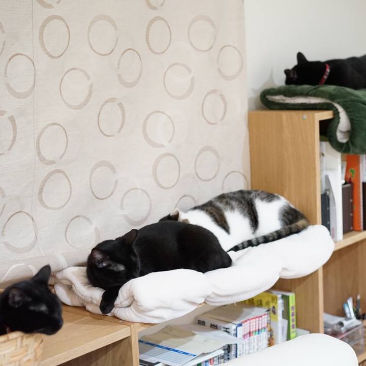 Dcabf51f c676 485e 8020 1ea0e4300736 1550244146485