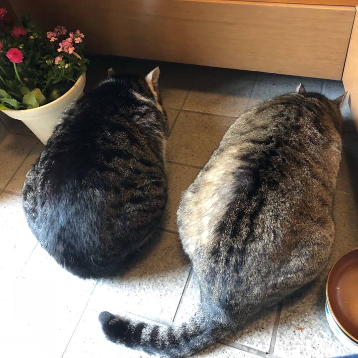 Dcac1d0a 1e4f 4dfe 8912 361bfc01906b 1520498655872