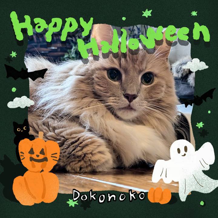 Dcac23fa 70a9 42bb af70 a86586a84cae 1729302052110