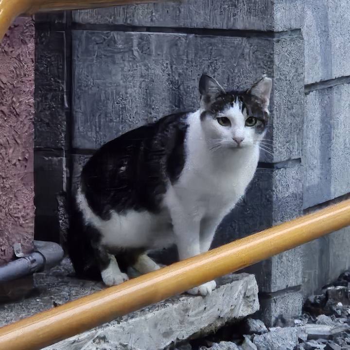 Dcac2536 9bc8 4360 ace1 620309c0e053 1721051578188