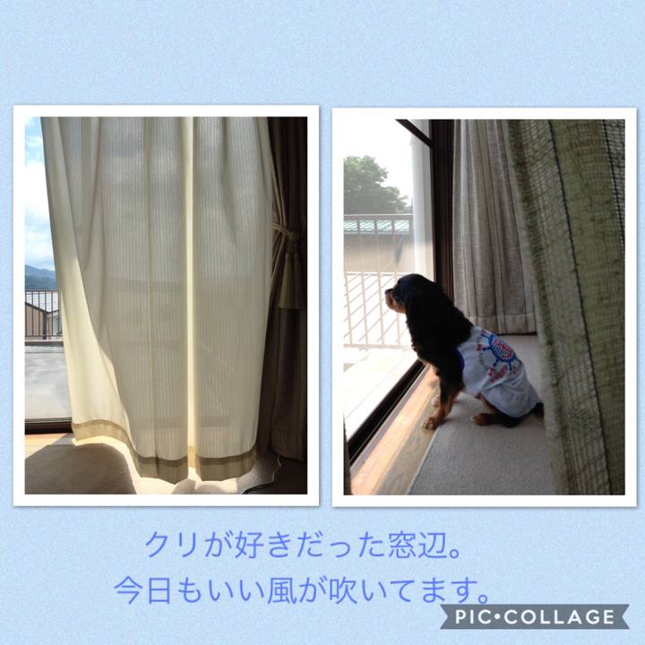 Dcac2be8 6cf9 45cf 9e90 d065292d9d1c 1532419451303