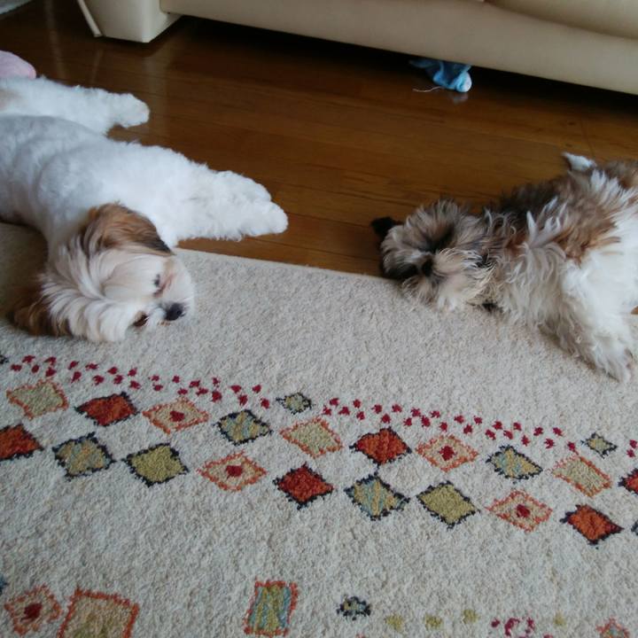 Dcac442f 1bc1 4c1d 9da5 fd612b06b8ac 1535850617006