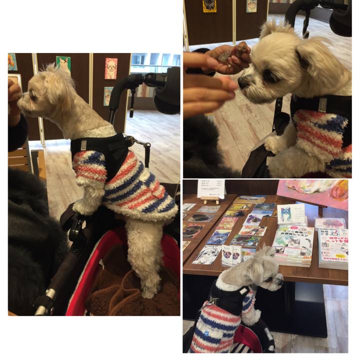 Dcac4707 b19d 4a84 8a09 ee8c3af21b1d 1517569737214