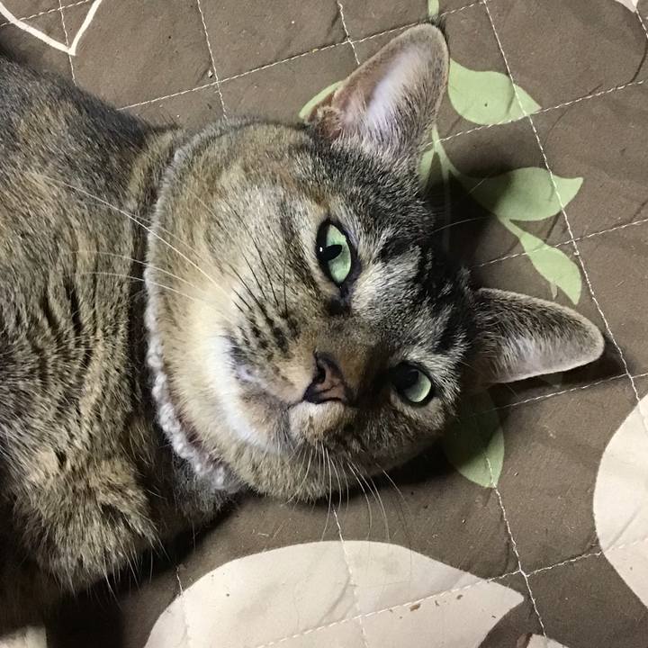 Dcac8eef 3e2e 42ec 9495 844d961cac53 1665226766942