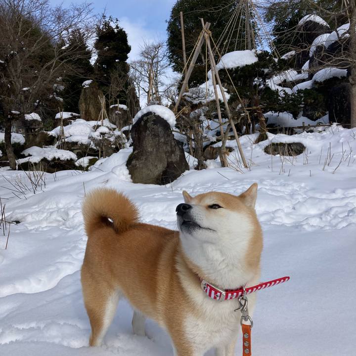 Dcac9afa 9fc5 486b a6cb b0f4cde41f2a 1706328706867