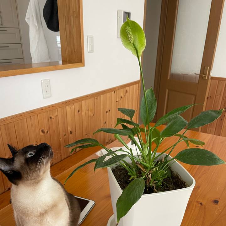 Dcaca525 3cbf 4f2f bdb3 8c887fc91206 1749952583793