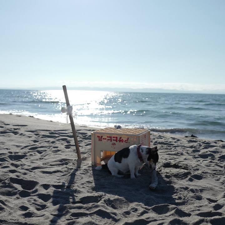 Dcacb40b b48e 403d 8953 56367531822c 1561526966267