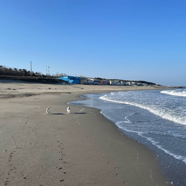 Dcacb459 6771 4b14 9c5b c918d4900a2b 1710546651232