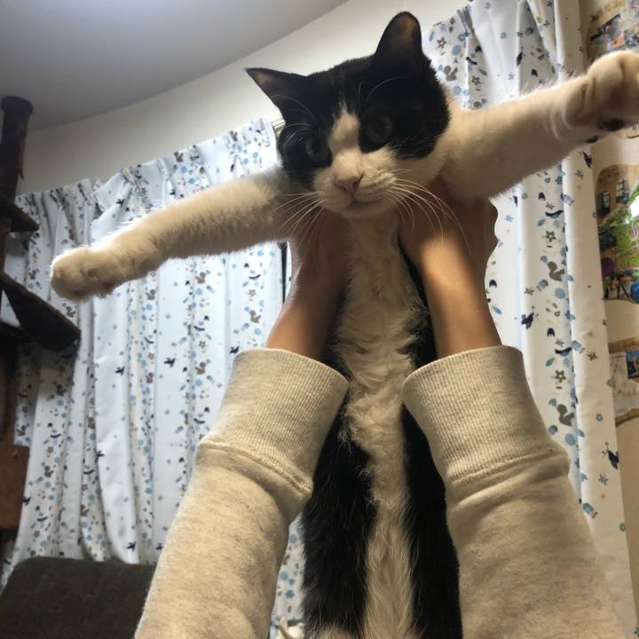 Dcacb880 c998 4d54 8459 bc9743cd6f08 1555764426706