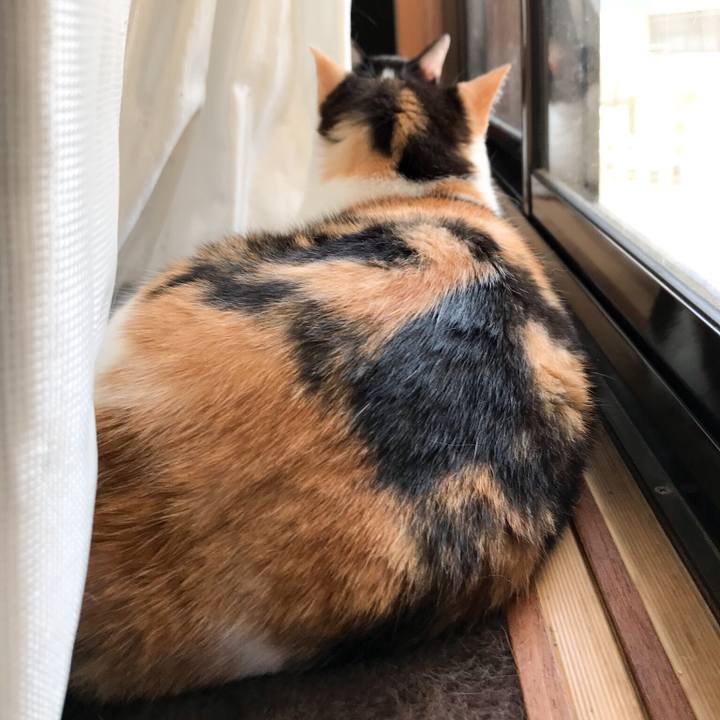 Dcacd1bd 6678 4824 ad0b b8557636c651 1529808879078