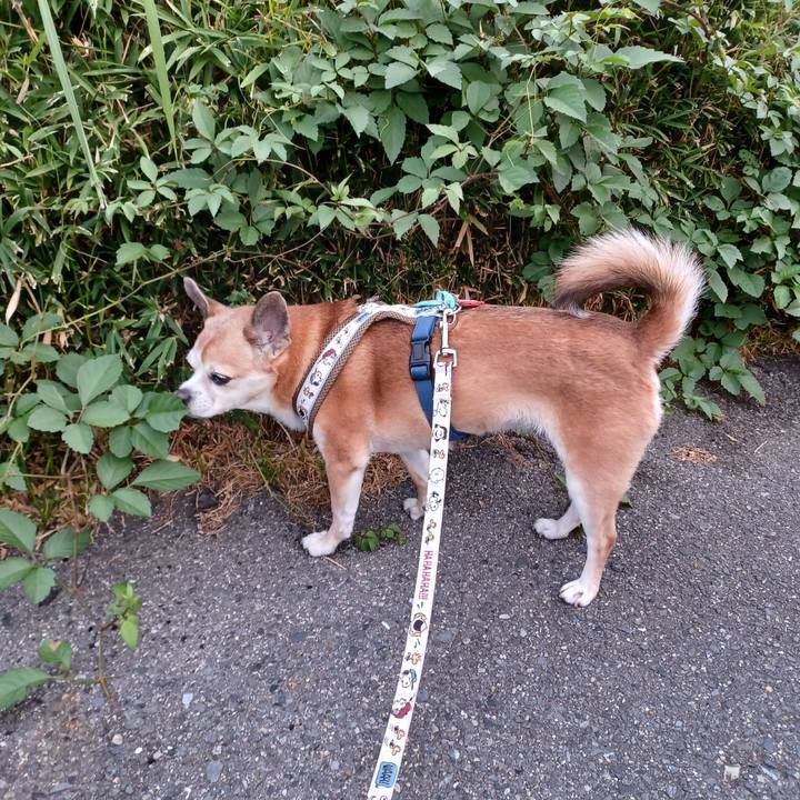 Dcacd94a 27ac 46bf 95bf 6aeb0d85e9d3 1755985722247