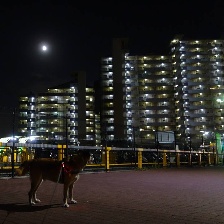 Dcace3be e3a3 4bad bb33 e501d01ff42c 1537743084981