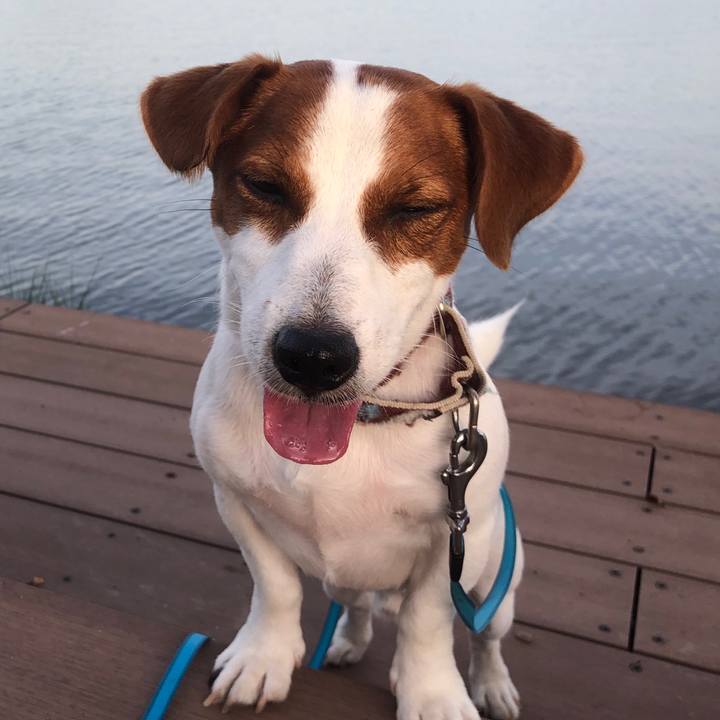 Dcad0865 8678 4eeb 832a 0815a492f77f 1565564419864