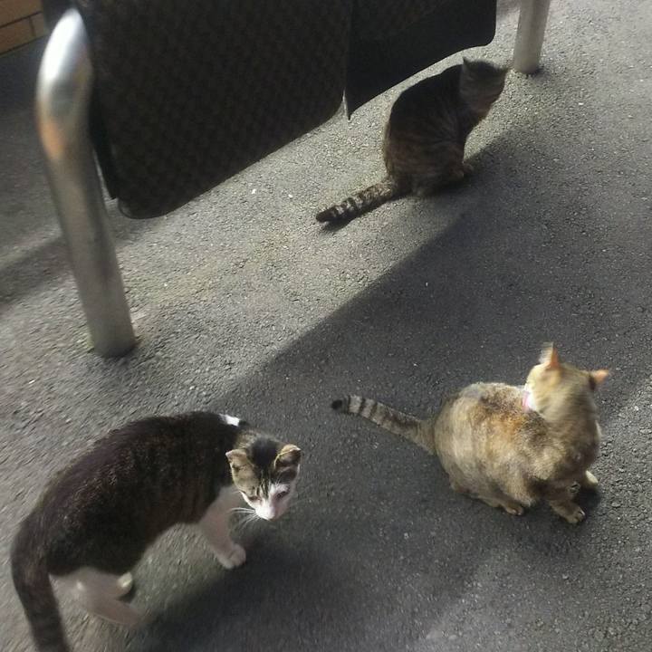 Dcad22e8 6cf9 4923 8d6f b4791bc0e6af 1560432527744