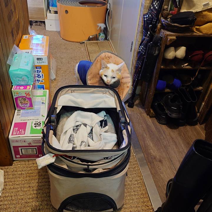 Dcad2d07 b971 49f9 b323 dc25c35a344c 1765580757207