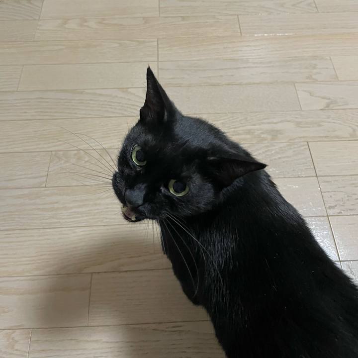 Dcad9127 20cd 4c30 bacf bf3baecb9603 1751547302644