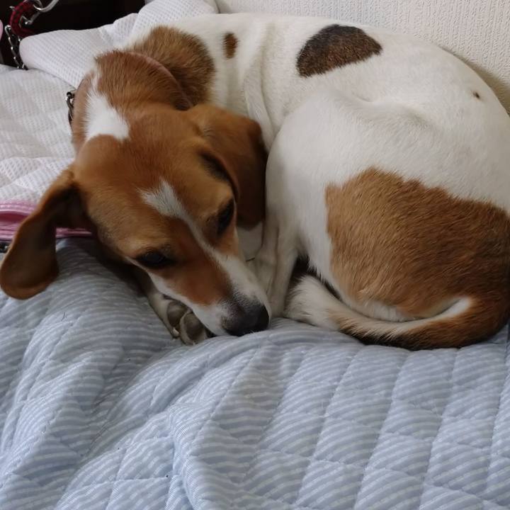 Dcadb2a7 e01a 4ccd a47f 56f6b2c7d27f 1591920647252