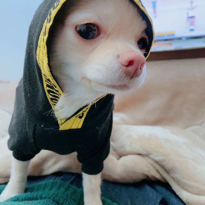 Dcadb6fa cd89 4b11 8040 30d827bc6c46 1612258597456