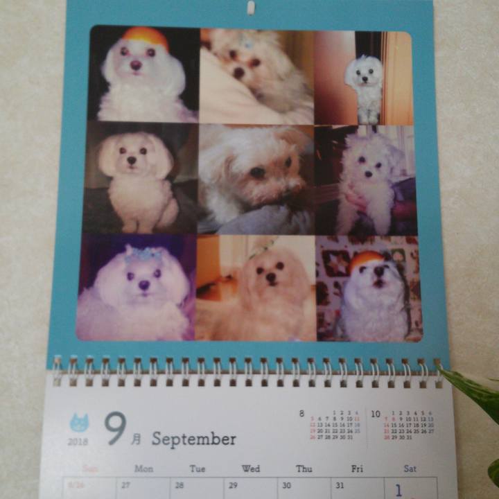 Dcae0799 3022 4fde 8d46 3ac4680904a2 1536626549041