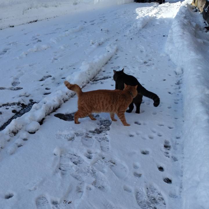 Dcae323f 854e 47af 9e76 d21bba0d0f56 1672963226099