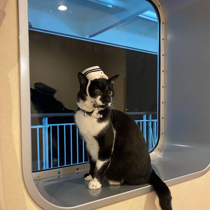 Dcae403a 3c91 4442 a637 409cc9a3d049 1638544218020