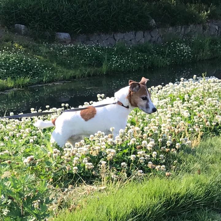 Dcae5a38 9752 4ece 912d f7654f598bd7 1558827013949