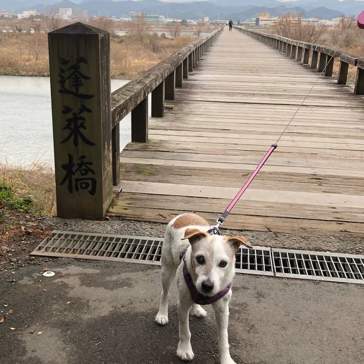 Dcae60bb 8494 4ccc 883f 1bd0db5111b6 1581759690619